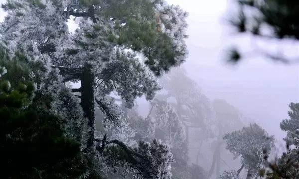 河南一小区物业及部分业主阻挠隔离期满人员返家,他们为何会有如此举动?-权威问答网,获取准确信息